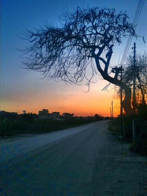 Photography